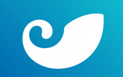 imtoken钱包充值转换usdt吗?